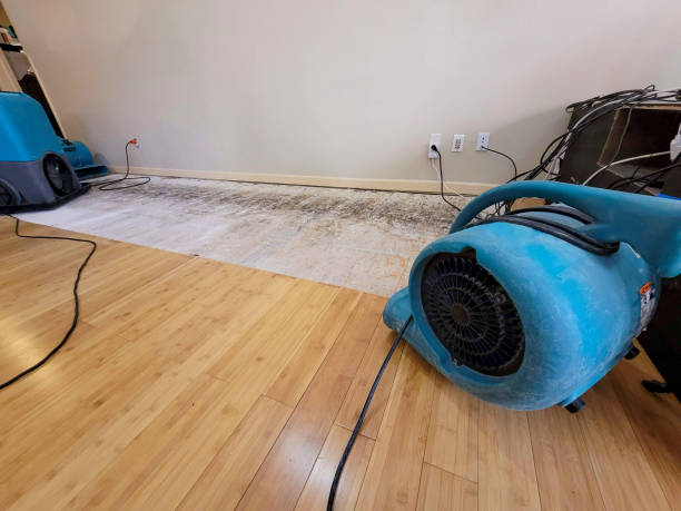 Professional Water Removal technician working in Center Harbor, NH